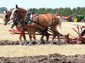 Plowing match