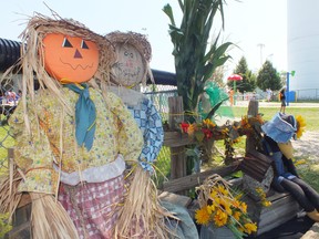 Scarecrows kept watch over stalks of corn at the annual Cornfest in Watford this weekend. BRENT BOLES / THE OBSERVER / QMI AGENCY