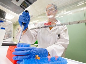 Third year environmental technologies student Tara McCowan sets up a PCR reaction while working in a lab at Fanshawe College in London, Ontario on Monday August 11, 2014 (QMI Agency file photo).