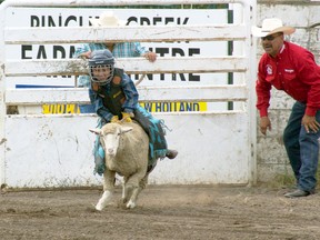 Hunter Little Bear managed to ride his sheep halfway around the Ag. Grounds arena before bailing off on the fence. The future rodeo star managed to rope a run-a-way sheep after the show as well, and all at the age of five. Greg Cowan photo/QMI Agency.