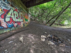 People walking the Fordview trail on Monday, August 11, 2014 discovered a pool of blood beneath the former TH&B Railway bridge on the west bank of the Grand River in Brantford, Ontario.  The Brantford Police Forensics Unit confirmed the blood to be human, and are appealing to the public for information.
BRIAN THOMPSON/BRANTFORD EXPOSITOR/QMI Agency