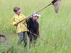 JOHN LAPPA/THE SUDBURY STAR/QMI AGENCYJonas Beckett, left, and Sam Chenier search for frogs and bugs at Camp Bitobig at the Lake Laurentian Conservation Area in Sudbury, ON. on Tuesday, August, 12, 2014. The camp offers activities such as swimming, canoeing, orienteering, hikes, games, crafts, pond study, fishing, archery and experiments.
