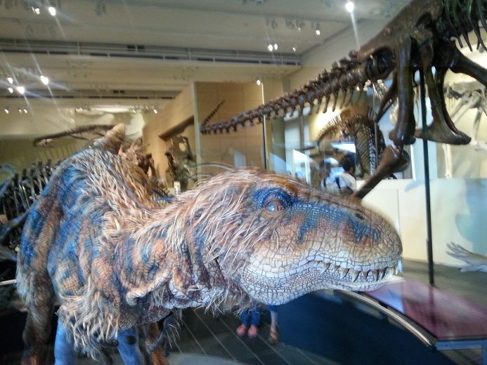 Dinosaurs ready to take over Canadian Tire Centre Ottawa Sun