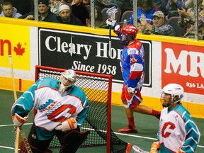 Peterborough Lakers' Matt Crough celebrates a goal scored against Six Nation Chiefs' goalie Evan Kirk during Game 1 of the 2014 MSL championship series on Thursday, August 14, 2014 at the Memorial Centre. The Lakers prevailed in the opener 9-7, with John Grant Jr. scoring three times. Clifford Skarstedt/Peterborough Examiner/QMI Agency