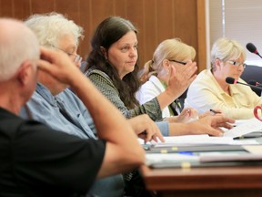 Prince Edward County councillor Janice Maynard speaks during the Thursday, Aug. 14, 2014, committee of the whole meeting. 
Emily Mountney-Lessard/The Intelligencer/QMI Agency