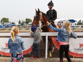 Brayden Poliakiwski, 3, and his cousins Sanoa Dempfle, 9, and Mathea Dempfle, 11, pat Celtic Assassin, as they watch the horses work out at Northlands Park, in Edmonton Alta., on Friday Aug. 15, 2014. David Bloom/Edmonton Sun/QMI Agency