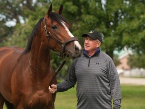 Trainer Brian Lynch checks out his horse, Unikat, who will be running in this Sunday’s Breeders’ Stakes at Woodbine Racetrack. (Michael Burns/Photo)