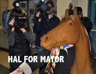 An already overcrowded mayoral ballot has a new addition to the race: a legless horse named Hal. Hal the horse currently resides at Union Sound Hall, where his head hits on the walls of the Exchange District nightclub and concert hall. He wants a horse in every back yard. (TWITTER.COM)
