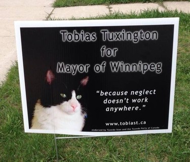 Mayoral "catidate" Tobias Tuxington has signed a pledge stating if elected mayor he will help the city's 100,000 street cats through better population control measures.