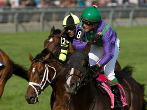Jockey Luis Contreras guides Ami’s Holiday to victory in the 123 running of the Breeders’ Stakes at Woodbine Racetrack on Sunday. (Michael Burns/Photo)