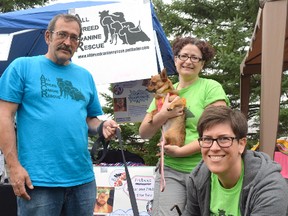 All Breed Canine Rescue volunteers, Kathryn Ashe (holding Foxy) and Kristen Houghten, kneeling with Buddy, helped staff the information tent at Pawlooza on Saturday, Aug. 16, 2014. Also pictured is Paul Clement, with Buddy, who was given a forever home courtesy of All Breed Canine Rescue of St. Thomas/London.