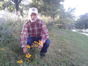 Robert McQueen has spent five decades learning about using wild plants as medicines and will share that knowledge on August 27 at the East Village Arts Collective.