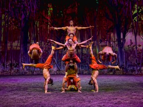 The acrobats from Cavalia’s Odysseo. (Handout)