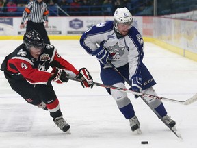 Nathan pancel Sudbury Wolves