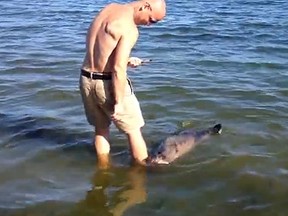 Sea otter gets up close and personal with a man in B.C. (YOUTUBE SCREENSHOT)