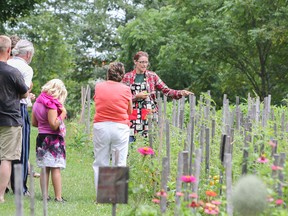 Cate Henderson, seed saver and gardener at the Heirloom Seed Sanctuary, takes visitors to the 15th annual Heirloom Tomato Celebration on a tour of the gardens on Saturday. (Julia McKay/The Whig-Standard)