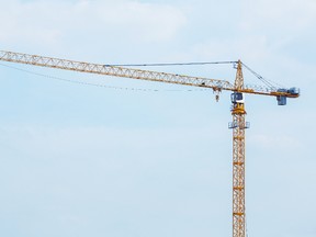 Crane.

(Fotolia)