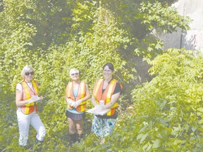Shown in photo are (from left to right) Kate Lloyd-Rees, Sandy Scotchmer, and Erica Clark, some of the ‘citizen scientists’ who are helping to collect water quality monitoring samples in the Bayfield area.