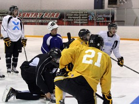 A number of Sarnia Sting veterans get in an on-ice workout in preparation for the opening of training camp in this file photo. (The Observer files)