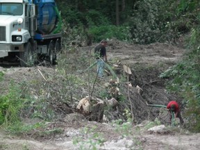 Workers pump contaminated water from a municipal drain in South Huron after a manure spill this week. The Environment Ministry said it traced the source of the manure to a nearby dairy farm. (JOHN MINER, The London Free Press)