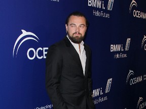 Leonardo DiCaprio. (WENN.COM)