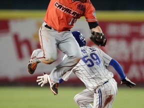 Blue Jays prospect Jon Berti played winter ball in Australia with the Canberra Cavalry this past off-season. (Reuters)