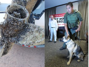 At left, zebra mussels on a boat; at right, Conservation Minister Gord Mackintosh watches Natural Resources Officer Chad Moir and canine unit member Fauna.