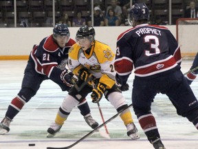 Vladislav Kodola of the Sarnia Sting (in white) slides between between Brandon Prophet and Jimmy Lodge of the Saginaw Spirit during their pre season match up at the RBC Centre on Monday, Sept. 1. The Sting won the game 3-2 thanks to a shootout winner by 2014 2nd round draft pick Jordan Kyrou. SHAUN BISSON/THE OBSERVER/ QMI AGENCY