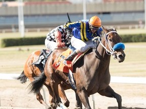 Deadly Truth took first place in the $75,000 Speed to Spare Stakes Monday at Northlands. (Ryan Haynes)