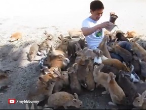 A man is seen surrounded by bunnies on Japan's 'Rabbbit Island.' (YouTube/Screengrab)