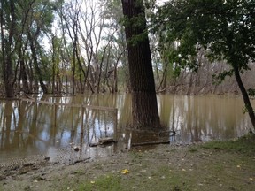 Brian Wolfe's property in St. Francois Xavier continues to see extensive problem areas from summer flooding. (HANDOUT)