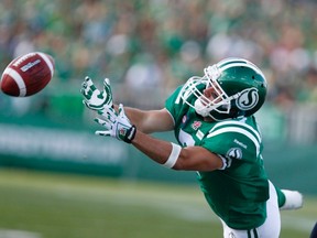 Did Weston Dressler get a hand with his touchdown run? (DAVID STAUBBE/Reuters files)