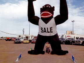 Police say this gorilla mascot was stolen in La Crete. (RCMP PHOTO)