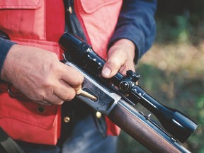 Sunday gun hunting comes into effect on Tuesday. (Postmedia Network file photo)