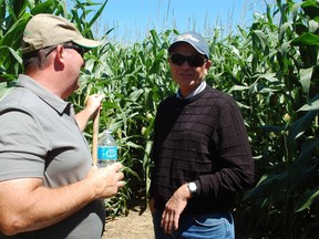 Despite hefty reduction in applied nitrogen, Blake Vince (left) is hopeful of a strong corn yield.