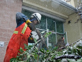 Vincent Beauregard, the town's arena attendant, takes a chainsaw to some downed branches the fell in front of the main entrance to the Community Recreation Centre in Pincher Creek during an early season snowstorm. A number of branches and trees have a fallen in the area due to heavy snow causing a handful of power outages in the area. John Stoesser photos/QMI Agency.
