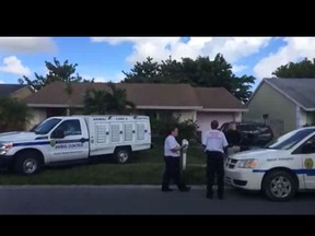 Animal care workers remove cats from the home of Doug Westcott in this Palm Beach Post video. (Video Screenshot)