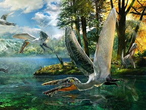The ecological reconstruction of Ikrandraco avatar is shown in this illustration courtesy of Chuang Zhao. Scientists on September 11, 2014 announced the discovery of fossils in China of a type of flying reptile called a pterosaur that lived 120 millions years ago and so closely resembled those creatures from the 2009 film, Avatar that they named it after them. REUTERS/Chuang Zhao/Handout