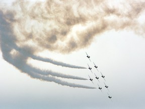 snowbirds