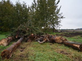 Trees and bushes removed from an environmental reserve area in the Westerra neighbourhood of Stony Plain in order to create a drainage ditch. The phrase environmental reserve and wording in the area structure plan unfortunately misled residents to believe that the natural features of this area would be protected. - Thomas Miller, Reporter/Examiner