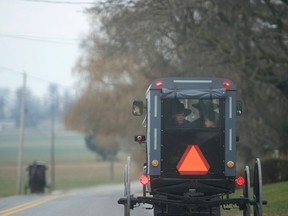 Old Order Mennonite communities are traditionally patriarchal, with ultimate authority residing in the hands of church leaders. Community members eschew modern technology, don't use electricity and drive a horse and buggy to get around.