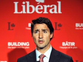 Liberal leader Justin Trudeau speaks to the media during the Federal Liberal summer caucus meetings in Edmonton August 19, 2014. (REUTERS/Dan Riedlhuber)