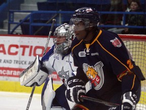 Ben Leeson/The Sudbury Star - Sudbury Wolves goalie Troy Timpano (33) watches the play while Barrie Colts forward Givani Smith (23) and his teammagtes enjoy a power play during OHL pre-season action at Sudbury Community Arena on Friday night.