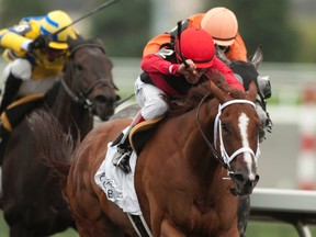 Eurico Da Silva guides Calgary Cat to victory in the $150,000 Bold Venture Stakes at Woodbine Racetrack on Saturday. (Michael Burns/Photo)