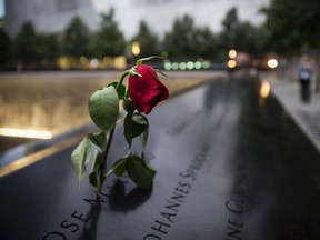 A wilting rose is left in remembrance of those lost before the memorial observances held at the site of the World Trade Center in New York, Sept. 11, 2014.  REUTERS/POOL-Andrew Burton