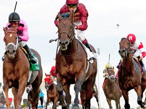 Jockey Jamie Spencer guides Trade Storm down the stretch to win Sunday’s $1-million Woodbine Mile. (Mike Burns, photo)
