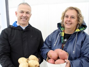 Ben Leeson/The Sudbury Star
Valley Growers co-owner Gerry Philippe, left, and administrative assistant Nicole Levasseur show off some potatoes during the Spudsbury Potato Festival in Blezard Valley on Saturday.