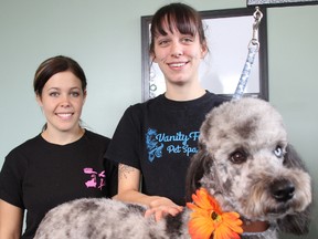 Rupert, a one-year-old aussiedoodle, shows off his flower neck tie in the midst of a grooming session at Vanity Fur's new Point Edward location. The pet grooming and doggie daycare business moved to from Sarnia this week. Meagen Jackson, right, is Rupert's owner and the business owner. She's pictured with groomer Julie Labelle. (TYLER KULA, The Observer)