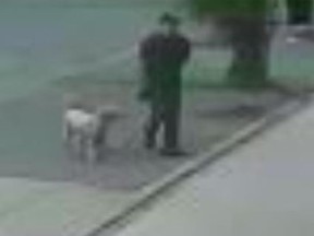 Police are trying to identify this man, who is suspected of smearing dog feces on Beth Joseph Lubavitch Chabad Synagogue on Edinburgh Dr. (Toronto Police handout)