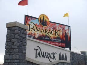 Families have everything they need in the inclusive community of Tamarack.